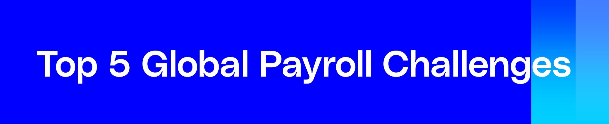 Top 5 Payroll Challenges Chart Header